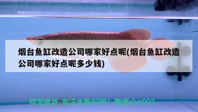 煙臺(tái)魚(yú)缸改造公司哪家好點(diǎn)呢(煙臺(tái)魚(yú)缸改造公司哪家好點(diǎn)呢多少錢)