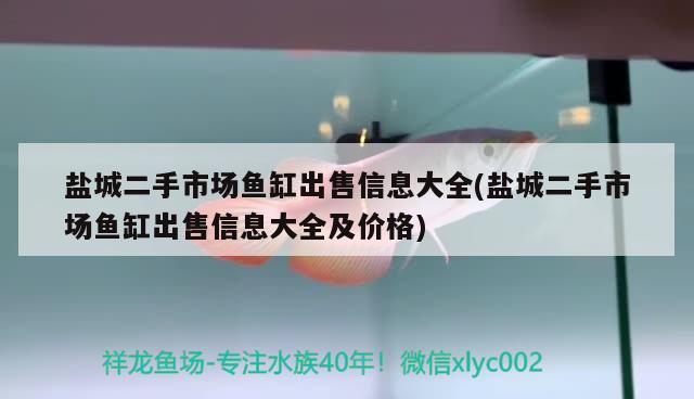 鹽城二手市場魚缸出售信息大全(鹽城二手市場魚缸出售信息大全及價格)