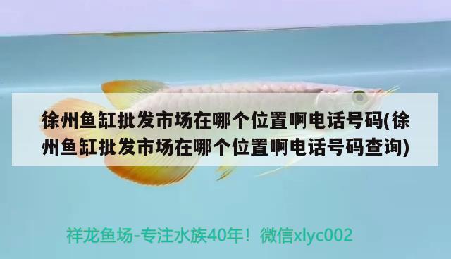 徐州魚缸批發(fā)市場在哪個位置啊電話號碼(徐州魚缸批發(fā)市場在哪個位置啊電話號碼查詢)