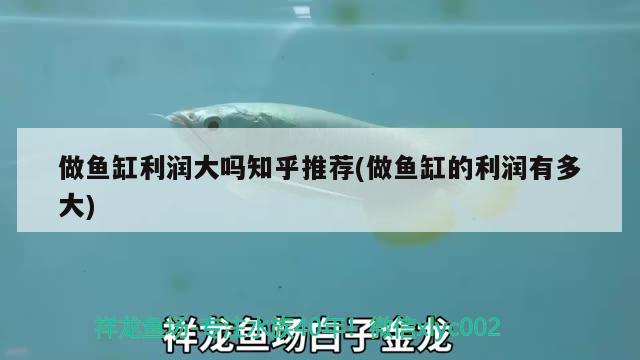 做魚缸利潤大嗎知乎推薦(做魚缸的利潤有多大) 白寫錦鯉魚