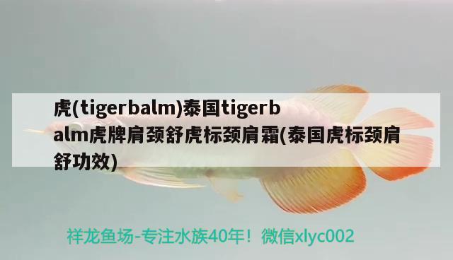 虎(tigerbalm)泰國tigerbalm虎牌肩頸舒虎標(biāo)頸肩霜(泰國虎標(biāo)頸肩舒功效)