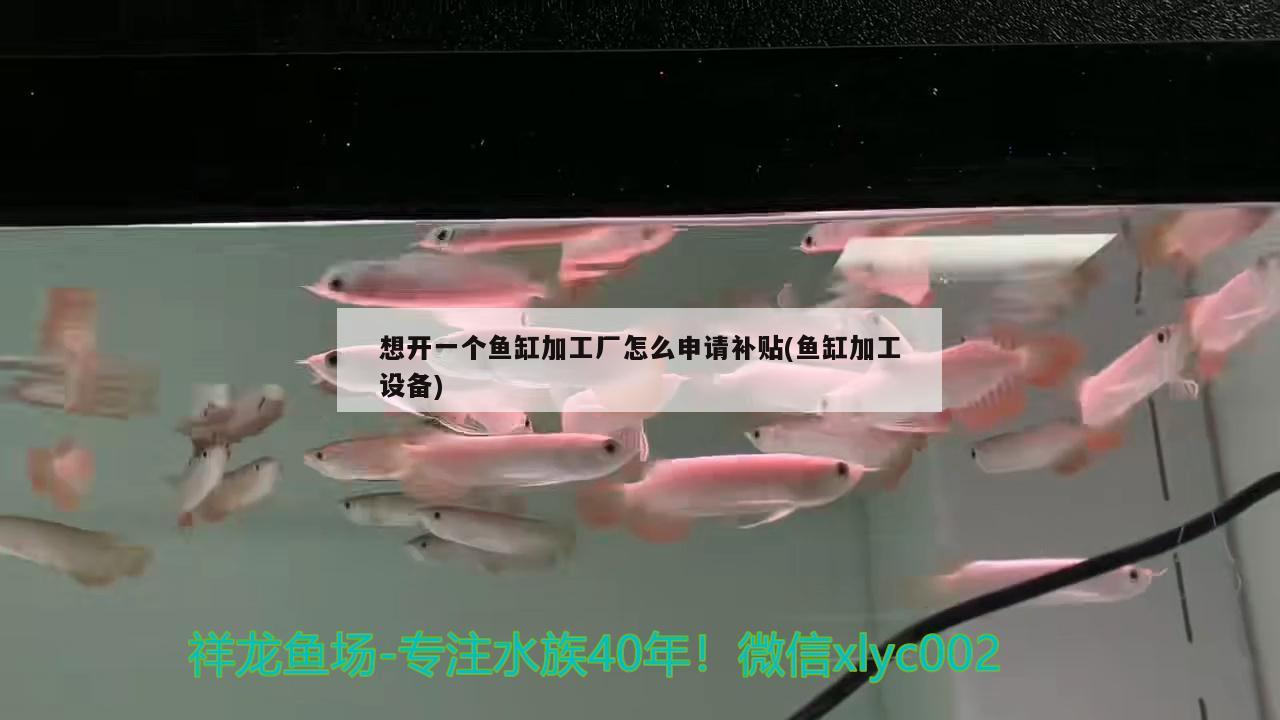 想開一個魚缸加工廠怎么申請補(bǔ)貼(魚缸加工設(shè)備)