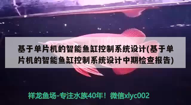 基于單片機的智能魚缸控制系統(tǒng)設計(基于單片機的智能魚缸控制系統(tǒng)設計中期檢查報告)