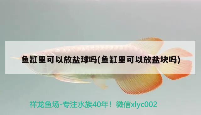 魚(yú)缸里可以放鹽球嗎(魚(yú)缸里可以放鹽塊嗎)