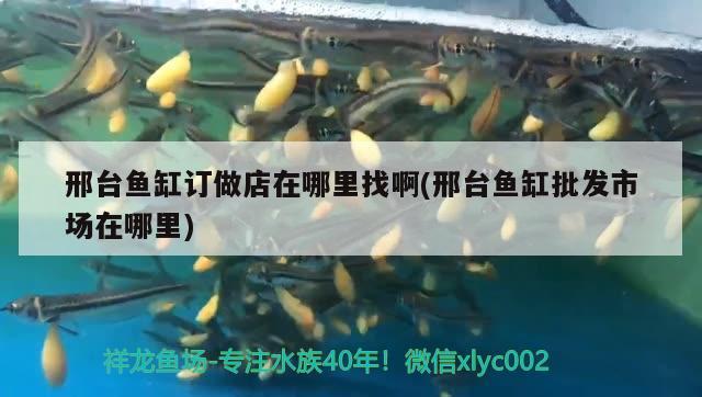 邢臺魚缸訂做店在哪里找啊(邢臺魚缸批發(fā)市場在哪里) 海象魚