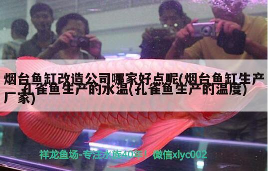 煙臺魚缸改造公司哪家好點呢(煙臺魚缸生產(chǎn)廠家) 稀有金龍魚