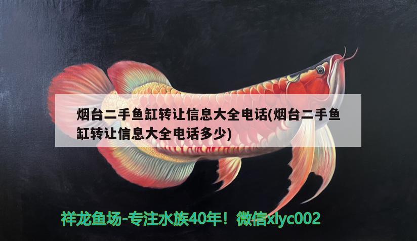 煙臺(tái)二手魚缸轉(zhuǎn)讓信息大全電話(煙臺(tái)二手魚缸轉(zhuǎn)讓信息大全電話多少)