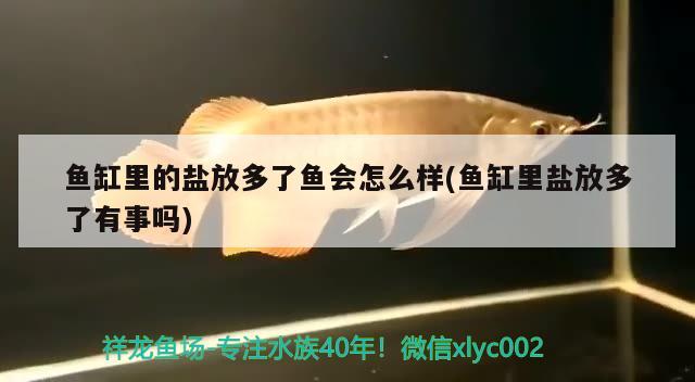 魚缸里的鹽放多了魚會怎么樣(魚缸里鹽放多了有事嗎) 巴卡雷龍魚