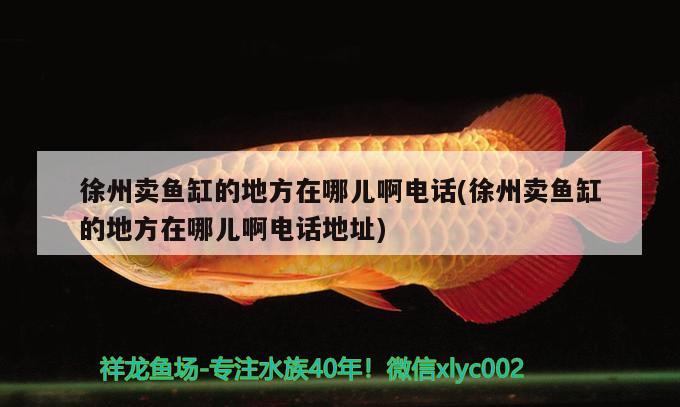 徐州賣(mài)魚(yú)缸的地方在哪兒啊電話(徐州賣(mài)魚(yú)缸的地方在哪兒啊電話地址) 殺菌消毒設(shè)備