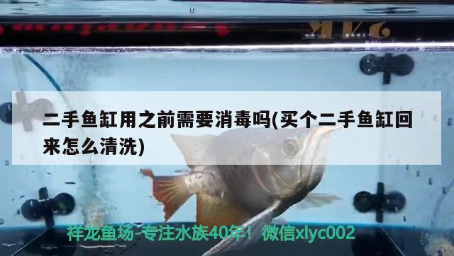 二手魚缸用之前需要消毒嗎(買個二手魚缸回來怎么清洗) 粗線銀版魚苗