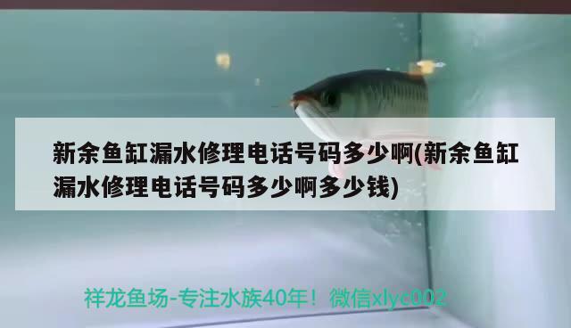 新余魚(yú)缸漏水修理電話號(hào)碼多少啊(新余魚(yú)缸漏水修理電話號(hào)碼多少啊多少錢) 養(yǎng)魚(yú)知識(shí)