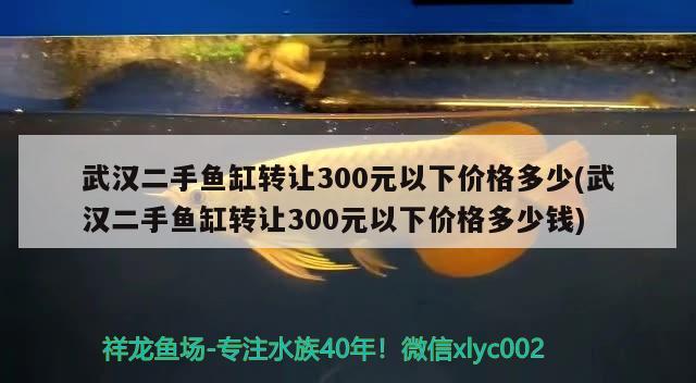 武漢二手魚缸轉(zhuǎn)讓300元以下價(jià)格多少(武漢二手魚缸轉(zhuǎn)讓300元以下價(jià)格多少錢) 印尼紅龍魚