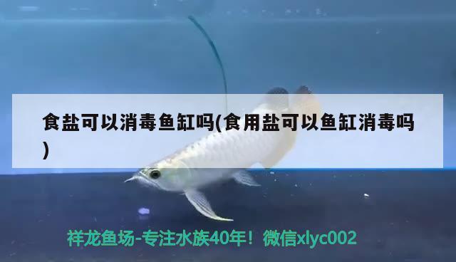 食鹽可以消毒魚缸嗎(食用鹽可以魚缸消毒嗎) 巴西亞魚苗