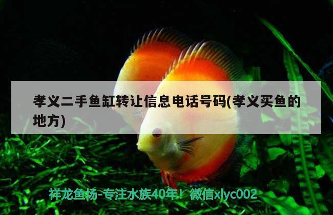 孝義二手魚(yú)缸轉(zhuǎn)讓信息電話號(hào)碼(孝義買(mǎi)魚(yú)的地方) 丹頂錦鯉魚(yú)