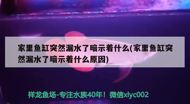 家里魚缸突然漏水了暗示著什么(家里魚缸突然漏水了暗示著什么原因) 龍魚專用燈