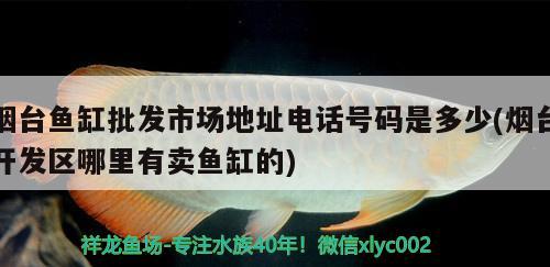 煙臺(tái)魚缸批發(fā)市場(chǎng)地址電話號(hào)碼是多少(煙臺(tái)開發(fā)區(qū)哪里有賣魚缸的) 觀賞龜/鱉飼料