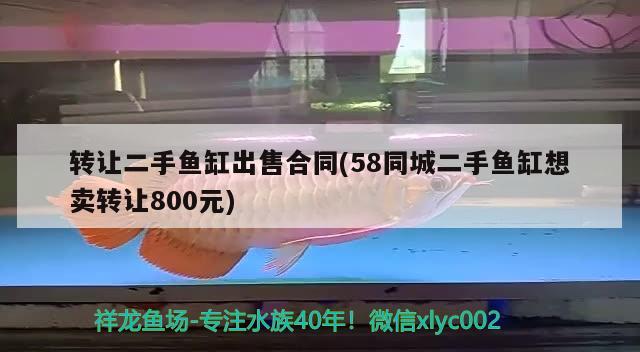 轉讓二手魚缸出售合同(58同城二手魚缸想賣轉讓800元) 祥龍魚藥系列