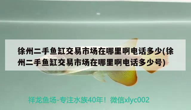 徐州二手魚缸交易市場在哪里啊電話多少(徐州二手魚缸交易市場在哪里啊電話多少號) 熱帶魚魚苗批發(fā)