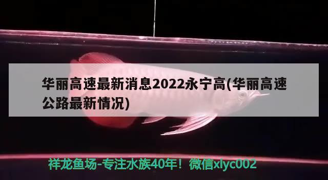 華麗高速最新消息2022永寧高(華麗高速公路最新情況)