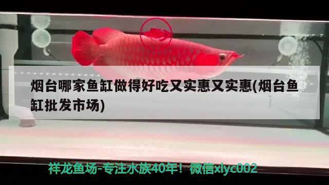 煙臺(tái)哪家魚缸做得好吃又實(shí)惠又實(shí)惠(煙臺(tái)魚缸批發(fā)市場(chǎng))