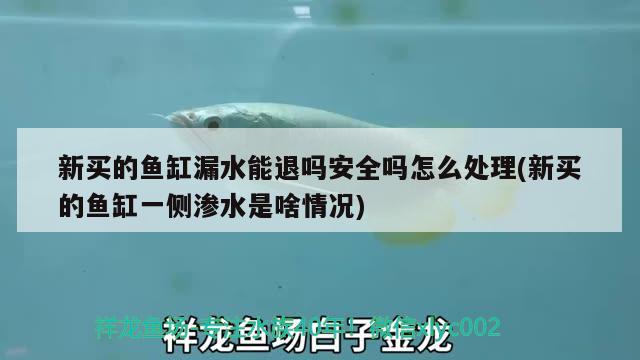 新買的魚缸漏水能退嗎安全嗎怎么處理(新買的魚缸一側滲水是啥情況) 水草