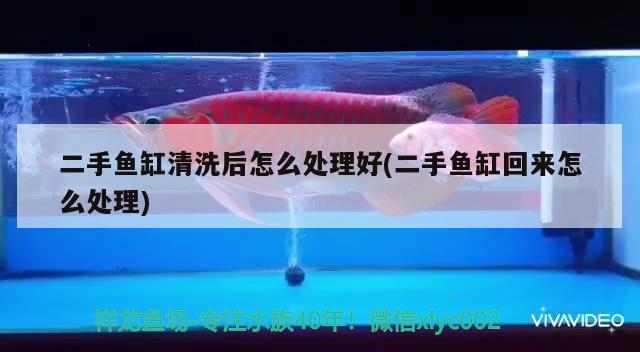 二手魚缸清洗后怎么處理好(二手魚缸回來怎么處理)