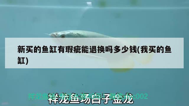 新買的魚缸有瑕疵能退換嗎多少錢(我買的魚缸) 元寶鳳凰魚百科