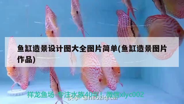 魚缸造景設計圖大全圖片簡單(魚缸造景圖片作品)