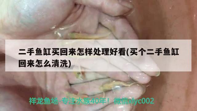 二手魚缸買回來怎樣處理好看(買個二手魚缸回來怎么清洗) 白寫錦鯉魚