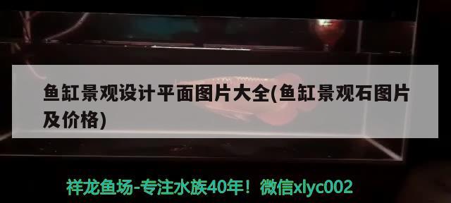 魚缸景觀設計平面圖片大全(魚缸景觀石圖片及價格) 廣州景觀設計 第2張