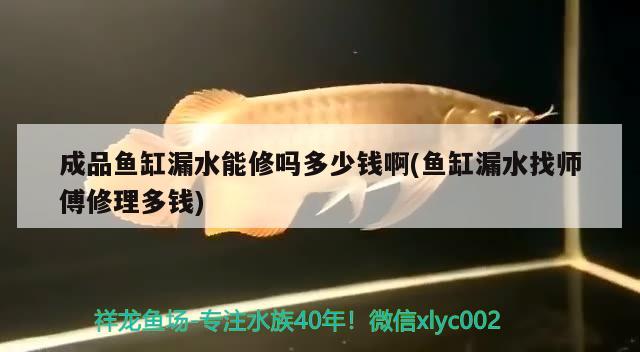 成品魚缸漏水能修嗎多少錢啊(魚缸漏水找?guī)煾敌蘩矶噱X)