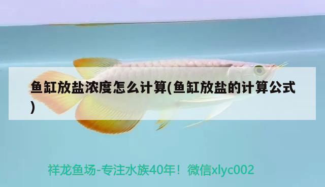 魚(yú)缸放鹽濃度怎么計(jì)算(魚(yú)缸放鹽的計(jì)算公式) 白子銀版魚(yú)苗