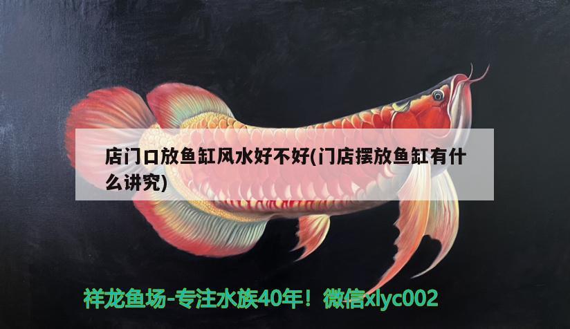 店門口放魚缸風(fēng)水好不好(門店擺放魚缸有什么講究)