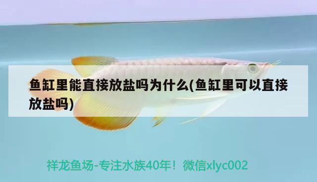 魚缸里能直接放鹽嗎為什么(魚缸里可以直接放鹽嗎)