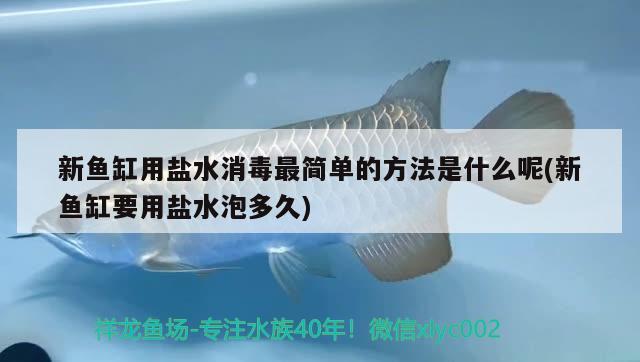 新魚缸用鹽水消毒最簡單的方法是什么呢(新魚缸要用鹽水泡多久) 月光鴨嘴魚