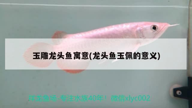 玉雕龍頭魚(yú)寓意(龍頭魚(yú)玉佩的意義)