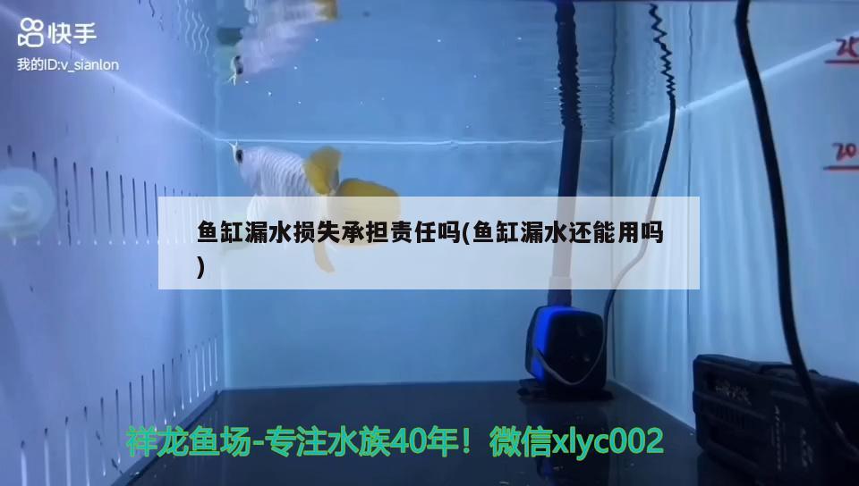 魚缸漏水損失承擔責任嗎(魚缸漏水還能用嗎)