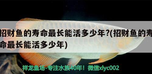 招財(cái)魚的壽命最長能活多少年?(招財(cái)魚的壽命最長能活多少年)