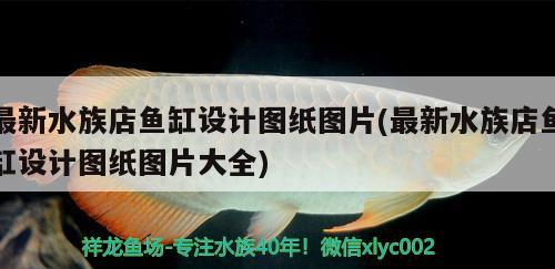 最新水族店魚缸設(shè)計圖紙圖片(最新水族店魚缸設(shè)計圖紙圖片大全)