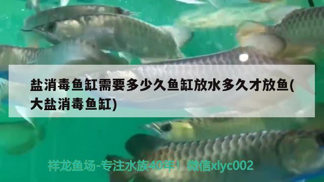 鹽消毒魚(yú)缸需要多少久魚(yú)缸放水多久才放魚(yú)(大鹽消毒魚(yú)缸)