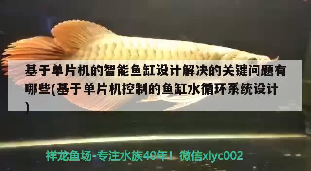 基于單片機的智能魚缸設計解決的關鍵問題有哪些(基于單片機控制的魚缸水循環(huán)系統(tǒng)設計)