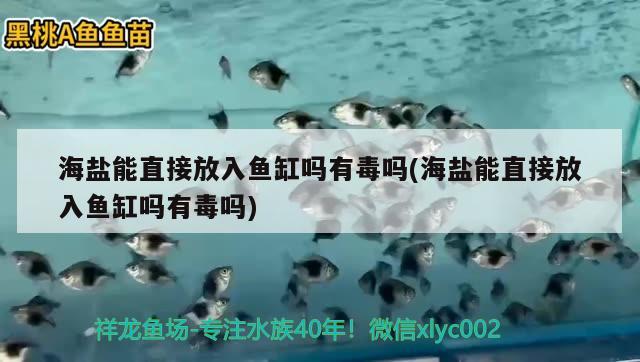 海鹽能直接放入魚缸嗎有毒嗎(海鹽能直接放入魚缸嗎有毒嗎)