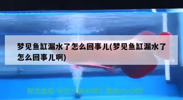 夢見魚缸漏水了怎么回事兒(夢見魚缸漏水了怎么回事兒啊) 潛水泵