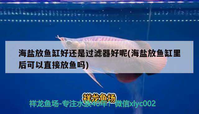 海鹽放魚(yú)缸好還是過(guò)濾器好呢(海鹽放魚(yú)缸里后可以直接放魚(yú)嗎)