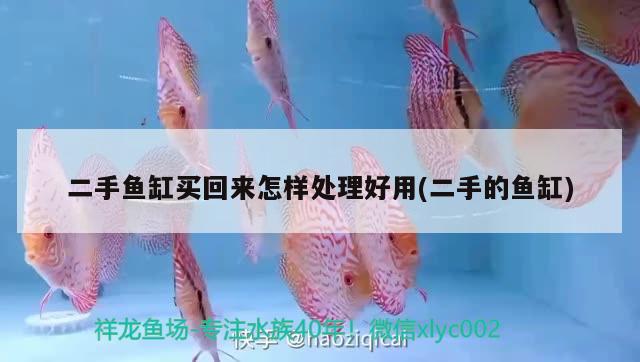 二手魚缸買回來怎樣處理好用(二手的魚缸)