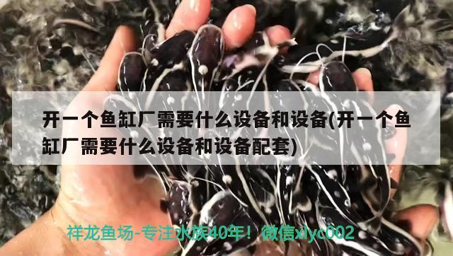 開一個魚缸廠需要什么設(shè)備和設(shè)備(開一個魚缸廠需要什么設(shè)備和設(shè)備配套)