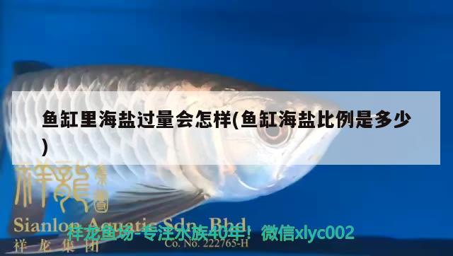 魚缸里海鹽過(guò)量會(huì)怎樣(魚缸海鹽比例是多少)