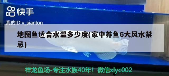 地圖魚(yú)適合水溫多少度(家中養(yǎng)魚(yú)6大風(fēng)水禁忌) 魚(yú)缸風(fēng)水