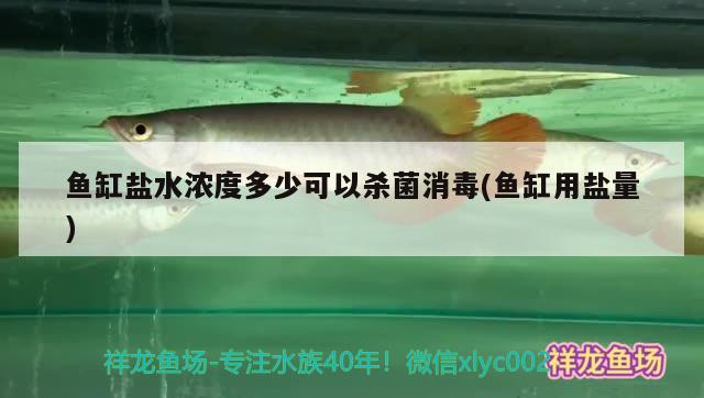 魚(yú)缸鹽水濃度多少可以殺菌消毒(魚(yú)缸用鹽量)