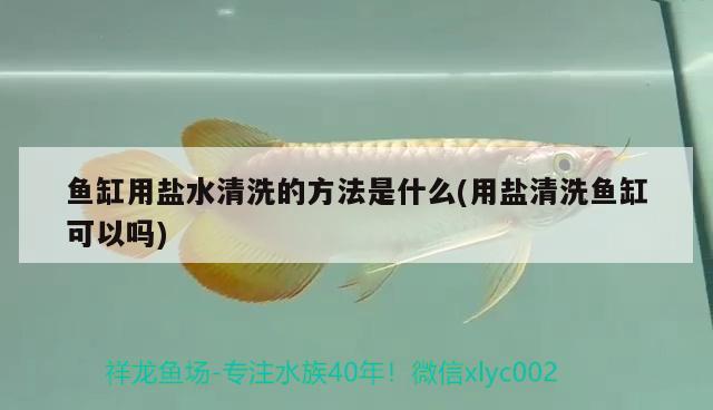 魚缸用鹽水清洗的方法是什么(用鹽清洗魚缸可以嗎) 綠皮皇冠豹魚